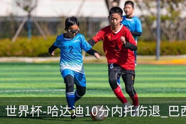 世界杯-哈达迪10分内托伤退 巴西大胜伊朗41分